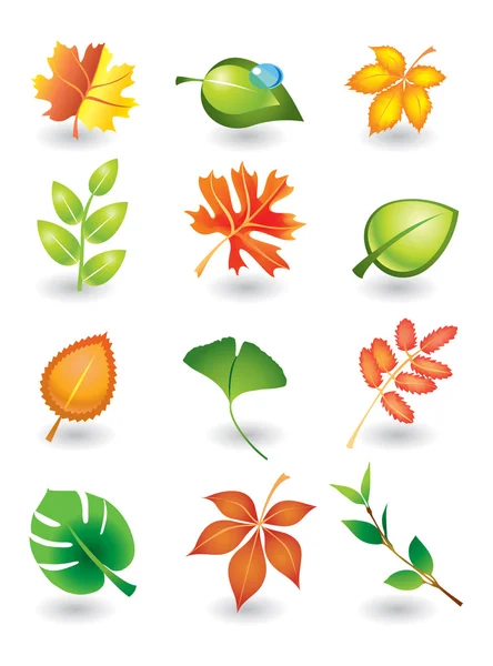 Vector leaves — Stock Vector