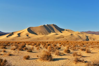 Magnificent dune Eureka in desert clipart