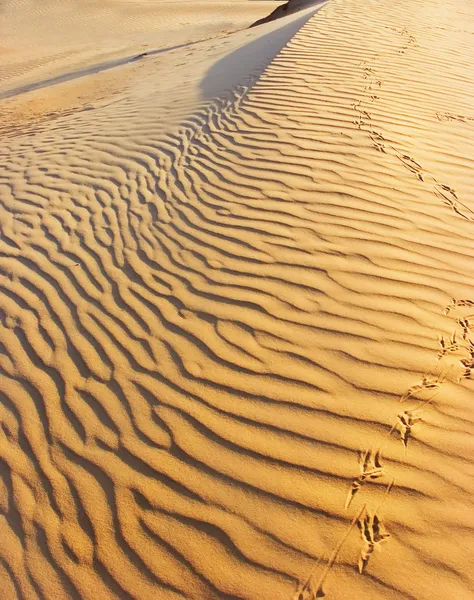 Onde di sabbia . — Foto Stock