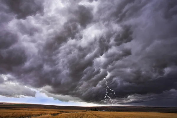 The thundercloud and lightning — Stock Photo, Image
