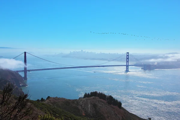 O "Golden Gate ". — Fotografia de Stock