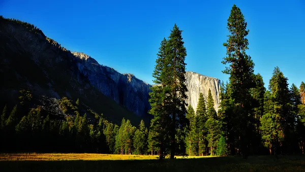 The glade in Yosemite park on sunset — Stok fotoğraf