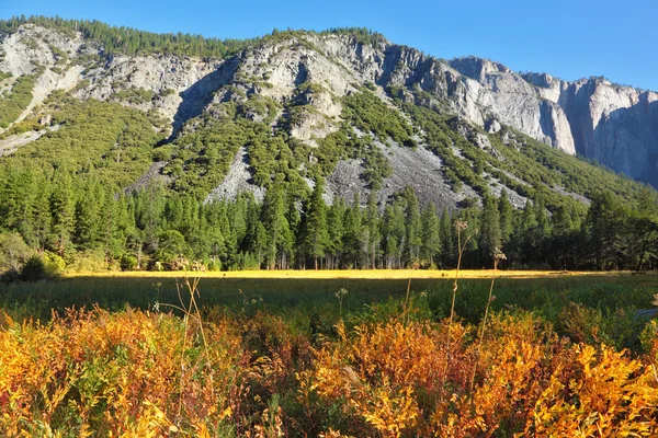 Ранняя осень в национальном парке . — стоковое фото