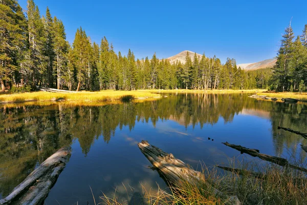 Красивое озеро в парке Йосемити — стоковое фото