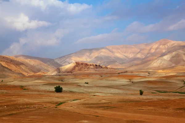 Il deserto del Sinai a dicembre — Foto Stock