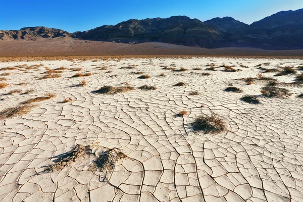 在沙漠中裂的地面 — 图库照片