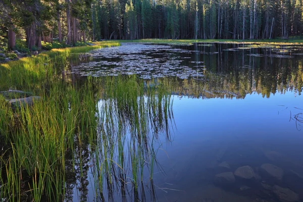 O lago azul superficial em Yosemite — Fotografia de Stock