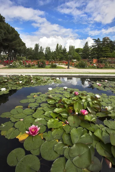 Magnifik trädgård med rosor och liljor — Stockfoto