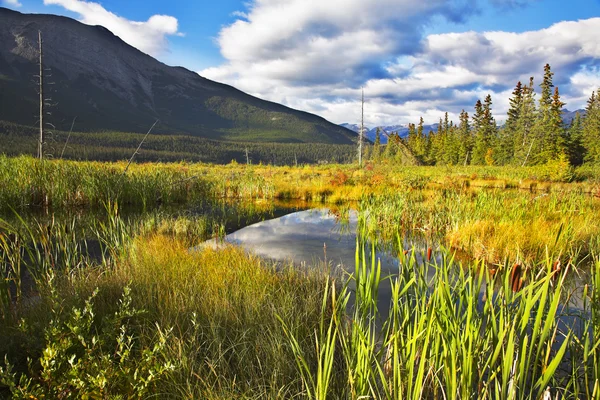 Milder Herbst in Kanada — Stockfoto