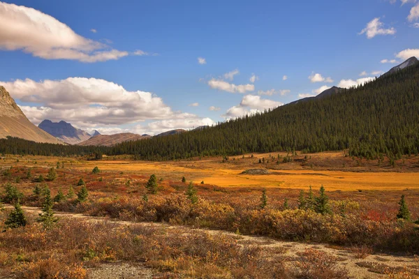 Steppe et montagnes à l'automne . — Photo