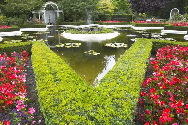 El estanque con lilyes — Foto de Stock
