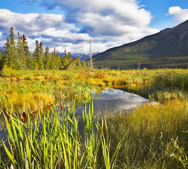 Bel automne dans le Nord canadien — Photo