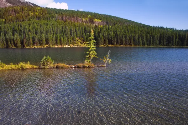 Остров в холодном канадском озере — стоковое фото