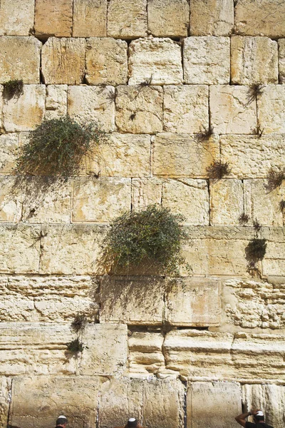 在耶路撒冷的西墙 — 图库照片