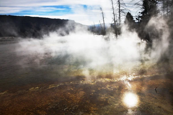 Hete mist boven geothermische bronnen — Stockfoto