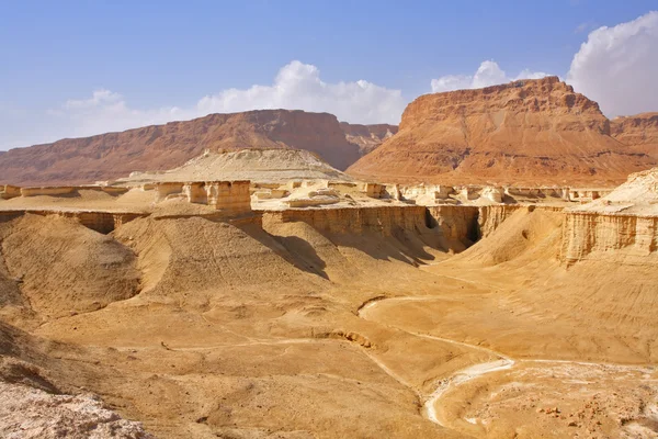 Canyon seco perto do Mar Morto — Fotografia de Stock