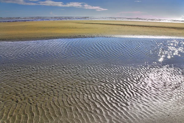 Der Strand von island vancouver — Stockfoto