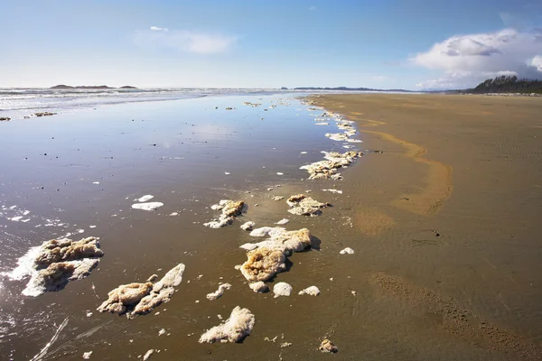 Playa de arena y los restos de espuma de mar —  Fotos de Stock