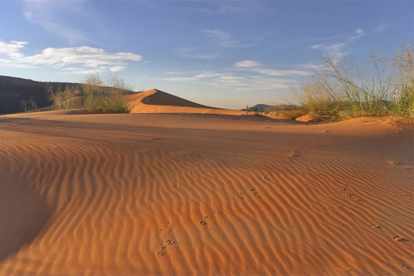 Striped dunes. — Stock Photo, Image