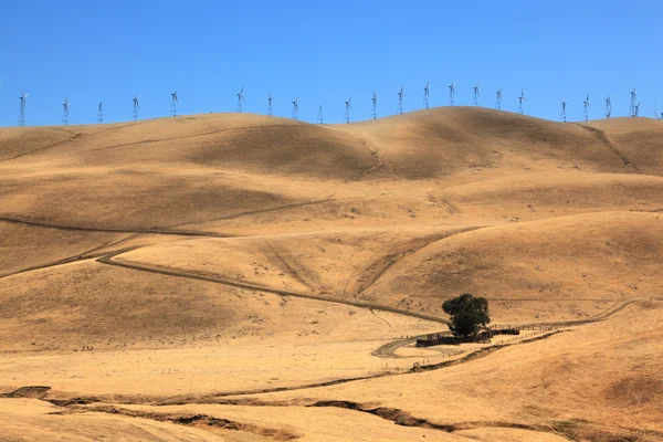 Les collines de Californie . — Photo