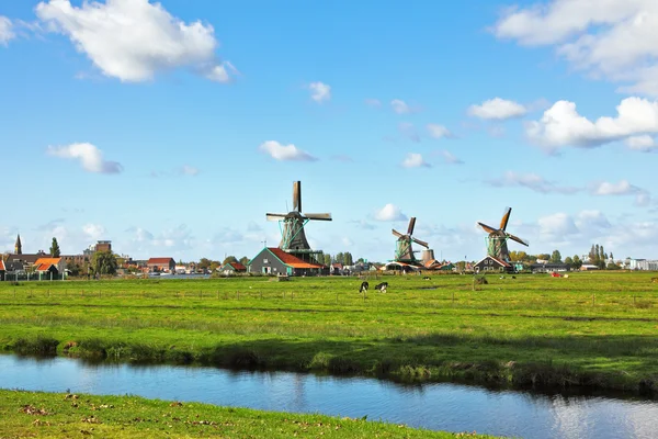 Windmolens in museum dorp in Nederland. — Stockfoto