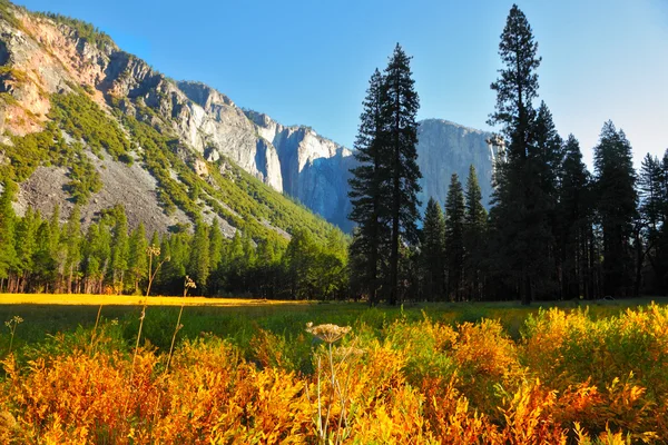 Principios de otoño en el valle de las montañas —  Fotos de Stock