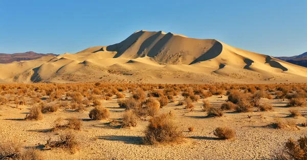 The dune Eureka on sunrise — Stock Photo, Image
