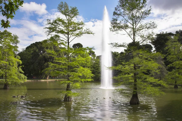 Lago encantador no parque de Madrid — Fotografia de Stock