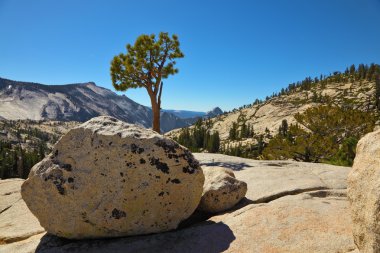 bir dağ panorama yosemite