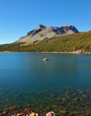 ABD, Kaliforniya yosemite Parkı