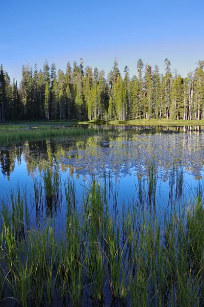 表面的な暗い青い湖 — ストック写真