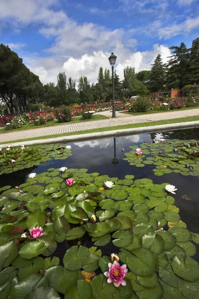 Prachtvoller Garten mit Rosen und Lilien — Stockfoto