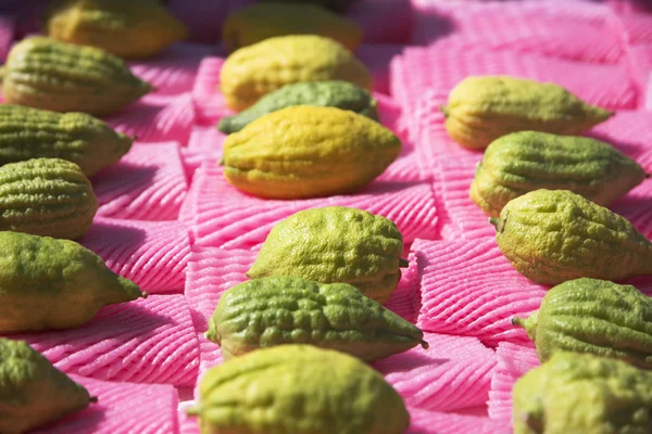 stock image Citruses on a holiday market on Sukkoth