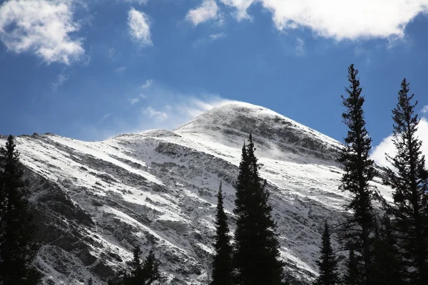 Kuvvetli rüzgar, kar dağlar — Stok fotoğraf
