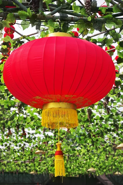 The red lanterns the Chin — Stock Photo, Image
