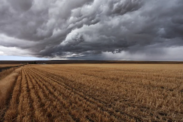 Montana después de la cosecha — Foto de Stock