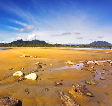 Sandy beach Pasifik Okyanusu