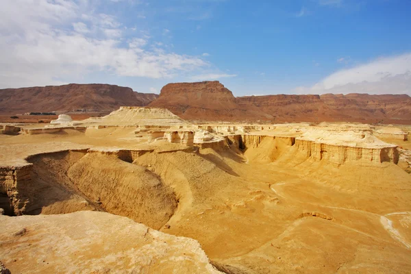 The stone desert in Israel — Stock Photo, Image