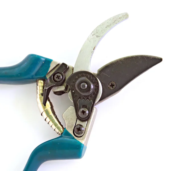 Garden scissors — Stock Photo, Image