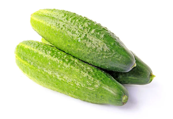 stock image Cucumber