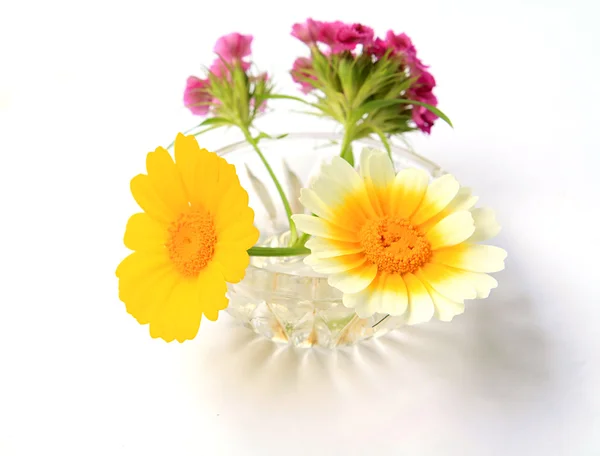Flowerses v váza — Stock fotografie
