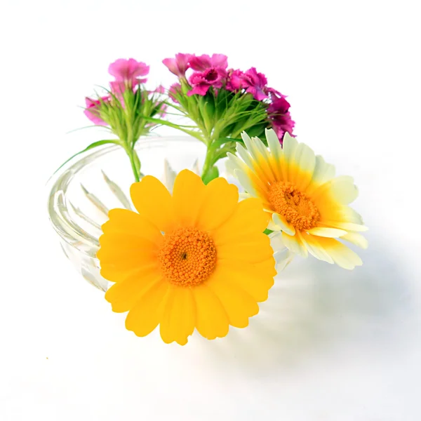Flowerses in vaas — Stockfoto