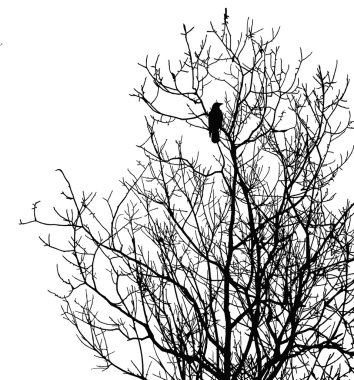 Silhouette ravens on tree clipart