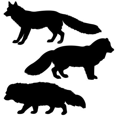 Polar fox, badger, vixens clipart