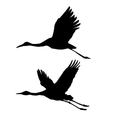 Flying cranes clipart