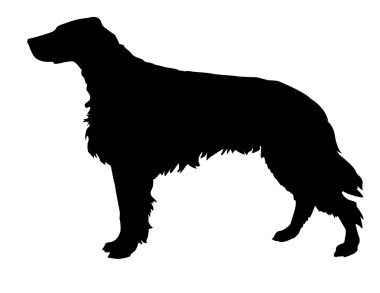 Setter clipart