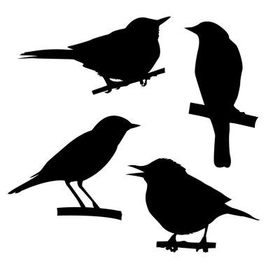  silhouettes of the birds clipart