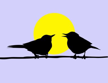  drawing two birds clipart