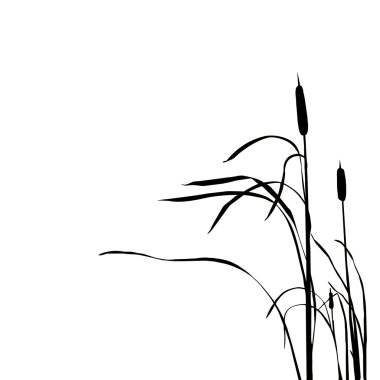  silhouette of the reed clipart