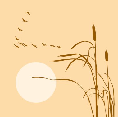 Drawing flock geese on bulrush clipart